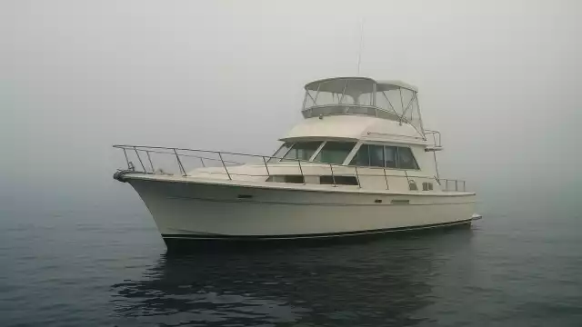 El misterioso suceso dio luz a diversas hipótesis