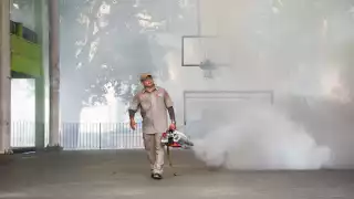 Repunte de contagios de dengue enciende las alarmas en la Península de Yucatán  