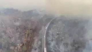 Selva de Quintana Roo, amenazada por los incendios 