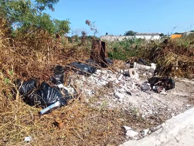 Piden reportar a los infractores