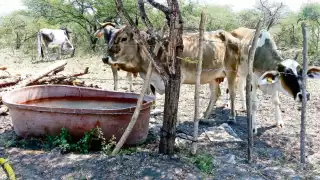 Abandono de más de 45 años frena al campo campechano, alerta SDA