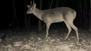 Adultos mayores de la localidad cuentan historias acerca de la importancia de respetar los montes