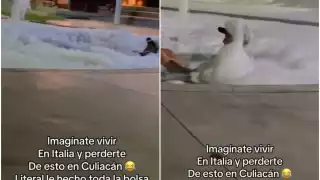 Hombre se hace viral por convertir fuente de Sinaloa en jacuzzi; le puso jabón