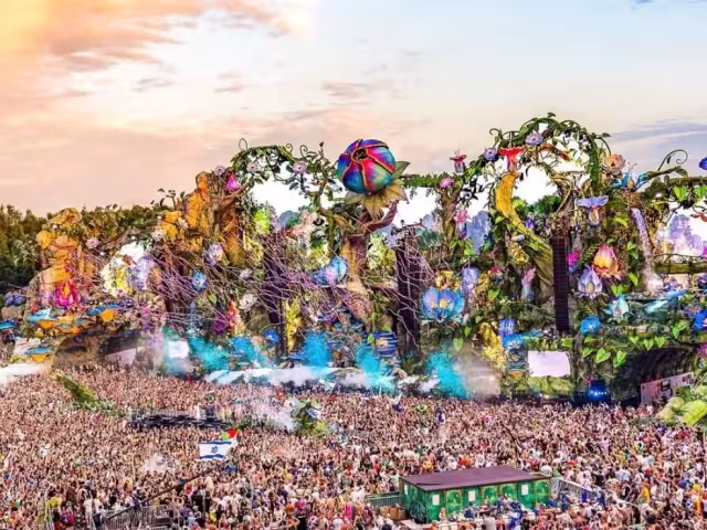 Te contamos todos los detalles