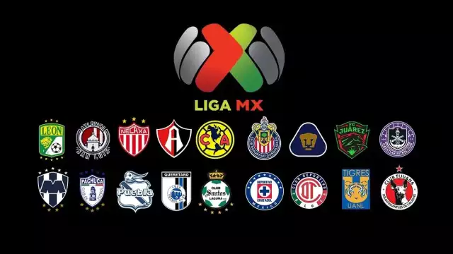 ¿Cómo marcha tu equipo en el Apertura 2025?. Foto: Liga MX
