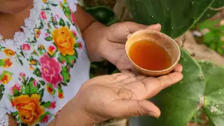 Bebidas que tienes que probar si vas a Quintana Roo 