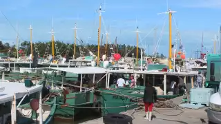Pescadores de Progreso  piden respetar el período de veda   