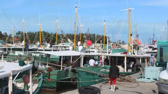 Algunos hombres de mar han visto durante sus jornadas laborales a buzos capturando de manera ilegal ejemplares protegidos Algunos hombres de mar han visto durante sus jornadas laborales a buzos capturando de manera ilegal ejemplares protegidos