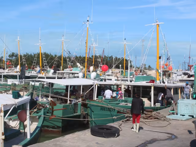 Algunos hombres de mar han visto durante sus jornadas laborales a buzos capturando de manera ilegal ejemplares protegidos