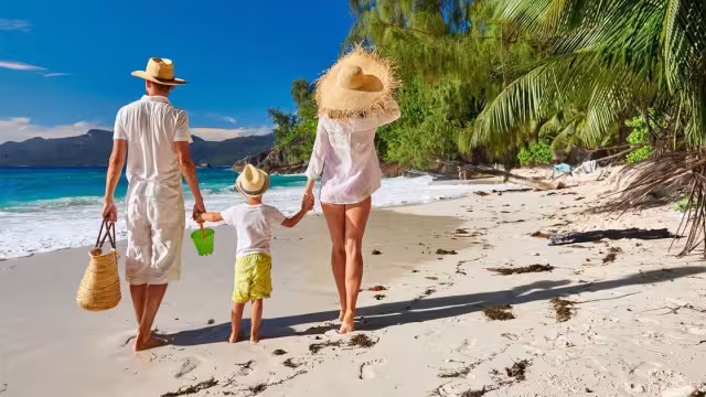 Días festivos y laborales