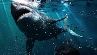 Nueva especie de pez  y restos de megalodón aparecen en cenotes de Yucatán  