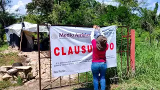 Justicia ambiental en Santa Maria Chi, Mérida; Profepa clausura granja porcícola de forma definitiva