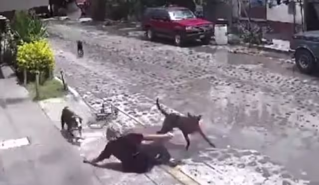 Los hechos ocurrieron en calles del municipio de Pedro Escobedo, Querétaro