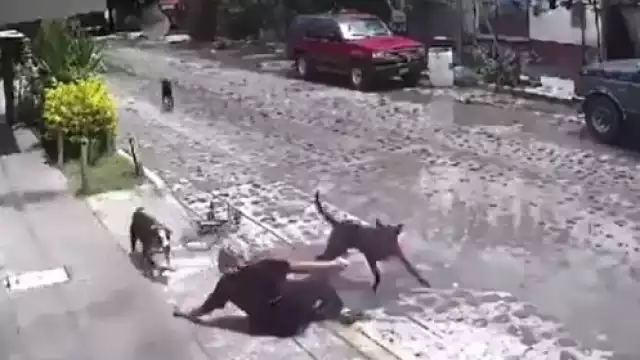 Los hechos ocurrieron en calles del municipio de Pedro Escobedo, Querétaro