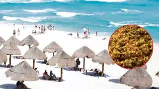 Vacaciones de verano 2025: Estas son las playas “instagrameables" de Quintana Roo con poco sargazo para visitar