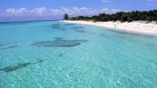 Esta es la playa más bonita de Playa del Carmen: ¿Cómo llegar desde Cancún?