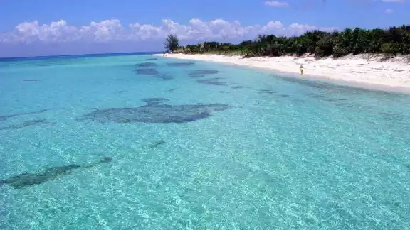 La Playa Paraíso es considerada como una de las más hermosas de Playa del Carmen La Playa Paraíso es considerada como una de las más hermosas de Playa del Carmen