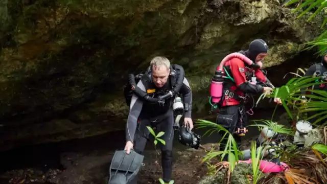 Podría ser un mapache o un coatí, explicaron espeleólogos que hicieron el hallazgo en un cenote