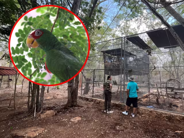 El Proyecto Santa María opera con financimiento propio