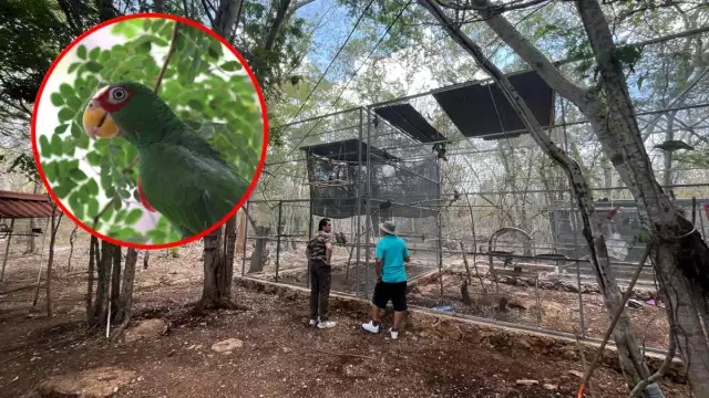 El Proyecto Santa María opera con financimiento propio