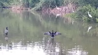 Protección Civil reduce niveles de lagunas para enfrentar sequía y lluvias intensas