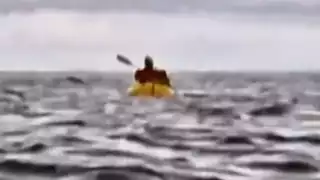 Ballena traga kayak con joven dentro, lo escupe después