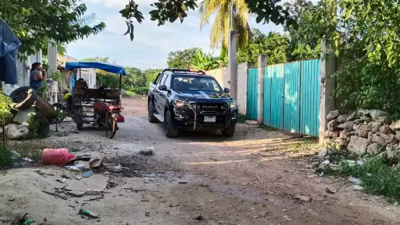 Un perro que estaba amarrado en la vivienda no pudo escapar y murió debido al ataque del enjambre Un perro que estaba amarrado en la vivienda no pudo escapar y murió debido al ataque del enjambre
