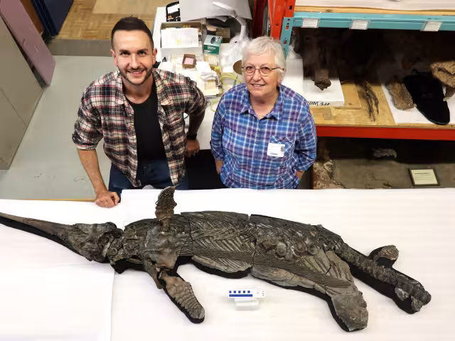 El Dragón Espada es parte del antiguo mundo Jurásico y representa un hallazgo histórico.