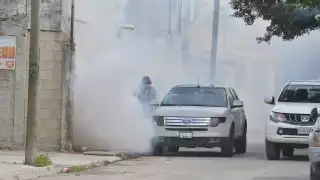 Casos de dengue incrementan en Quintana Roo: En 15 días se reportaron más de 20