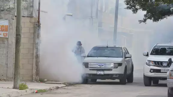 Hasta la semana 34, la entidad lleva 127 enfermos por picaduras de mosquitos, de los cuales 68 han sido clasificados como graves y con signos alarmantes Hasta la semana 34, la entidad lleva 127 enfermos por picaduras de mosquitos, de los cuales 68 han sido clasificados como graves y con signos alarmantes