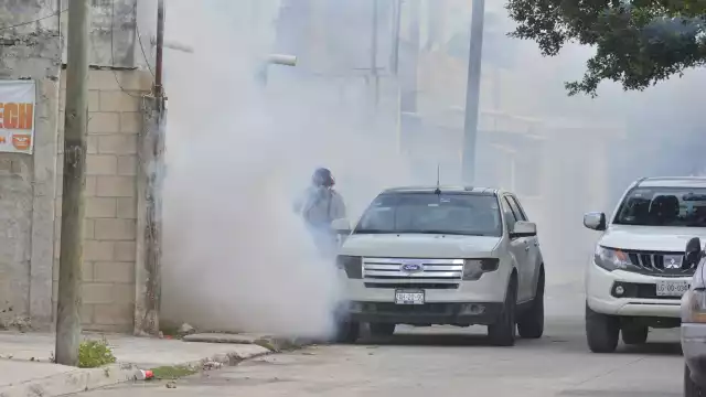 Hasta la semana 34, la entidad lleva 127 enfermos por picaduras de mosquitos, de los cuales 68 han sido clasificados como graves y con signos alarmantes