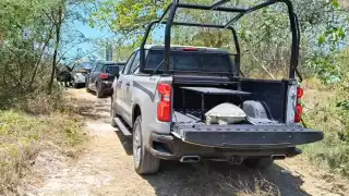 Tortuga blanca fallecida encontrada en aguas de Isla del Carmen