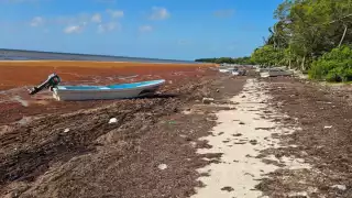 Autoridades de Quintana Roo dejan a Xcalak en el olvido