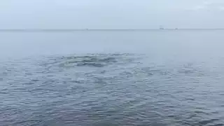 Descubren 'ojo de agua' en  Seybaplaya, Campeche, similar a fenómenos en Quintana Roo