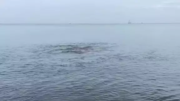 José Itza logró captar un ojo de agua en la playa de Seybaplaya