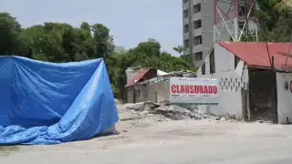  Clausuran predio por devastación de  manglar con material de relleno en Puerto Morelos