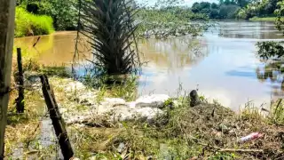 Río Palizada amenaza con desbordarse en El Salto; piden refuerzo urgente del bordo