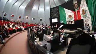 Congreso de Quintana Roo propone iniciativas en favor del bienestar animal y el derecho a la nutrición