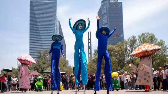 La CDMX tiene una extensa oferta turística para los visitantes nacionales. La CDMX tiene una extensa oferta turística para los visitantes nacionales.