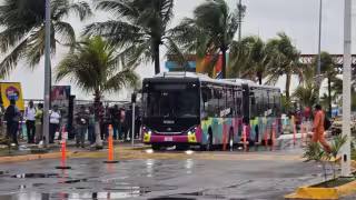 Transporte municipal “Amor por Carmen” opera sin concesión desde 2024