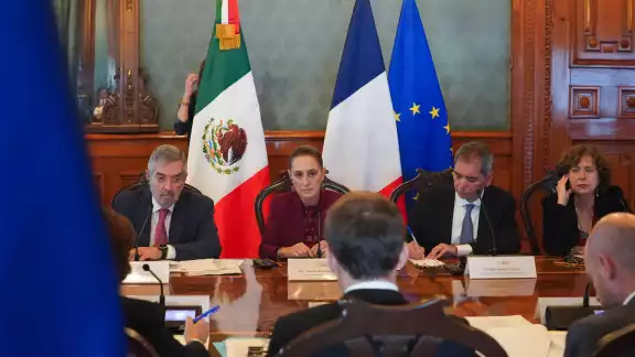 El canciller mexicano también tuvo que hacer otras labores que la presidenta.