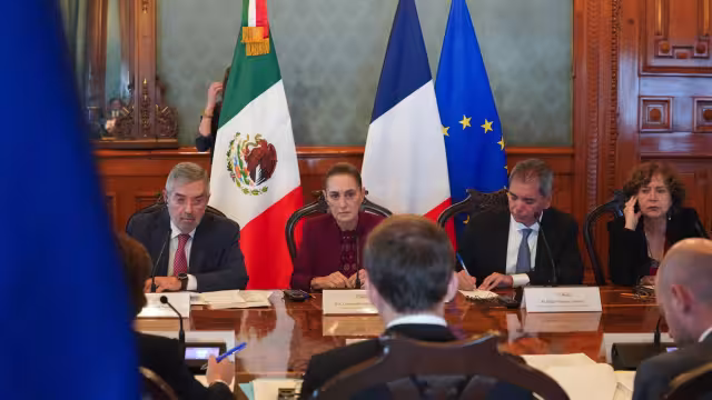 El canciller mexicano también tuvo que hacer otras labores que la presidenta.