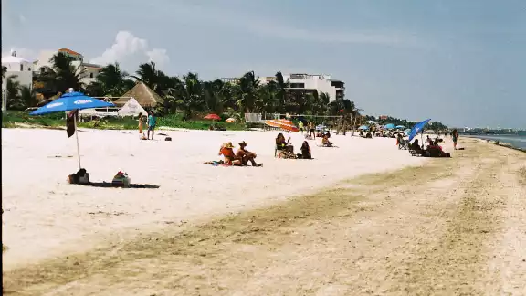 En 2019, se dio a conocer que el 50% de los arenales del estado ya estaban afectados