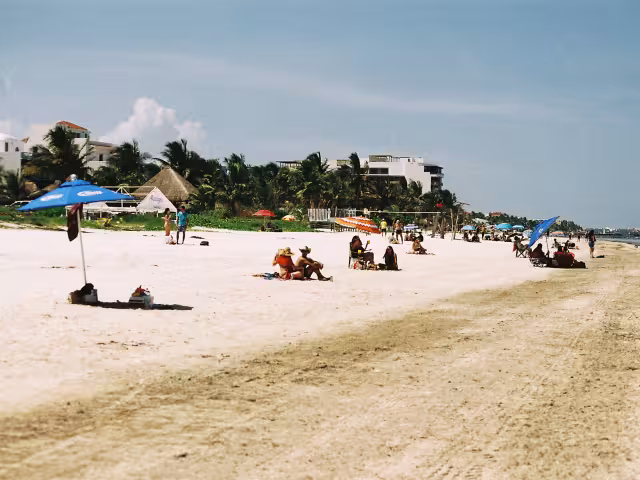 En 2019, se dio a conocer que el 50% de los arenales del estado ya estaban afectados