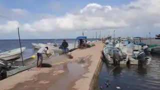 El líder del gremio en la zona norte dijo que los ingresos por la venta de la especie no estabilizan la economía de las cooperativas.