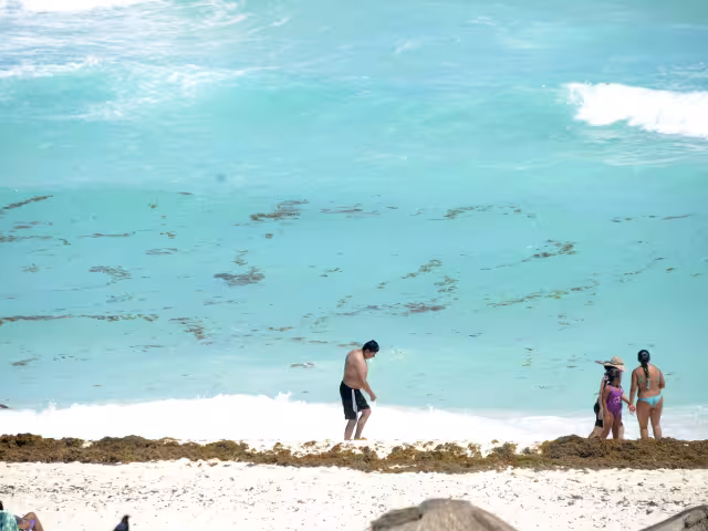 Según el titular de la red de monitoreo, para la actual temporada se prevé un aumento del 30% respecto a la cifra alcanzada el año pasado.