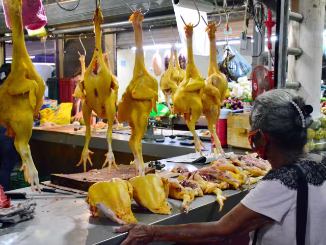 Los precios del huevo, pollo, papa y tomate verde mostraron disminuciones significativas