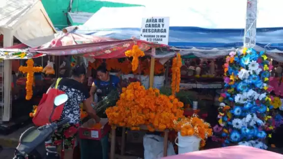 Los mercados de Cancún ya comienzan a vender las flores de los muertos