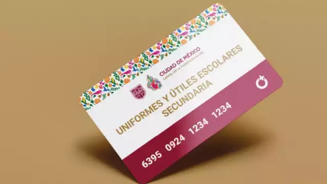 El apoyo se aplica únicamente a un grupo selecto de jóvenes de secundaria