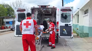 Campesino sufre ataque de cocodrilo en Chan Santa Cruz de Felipe Carrillo Puerto